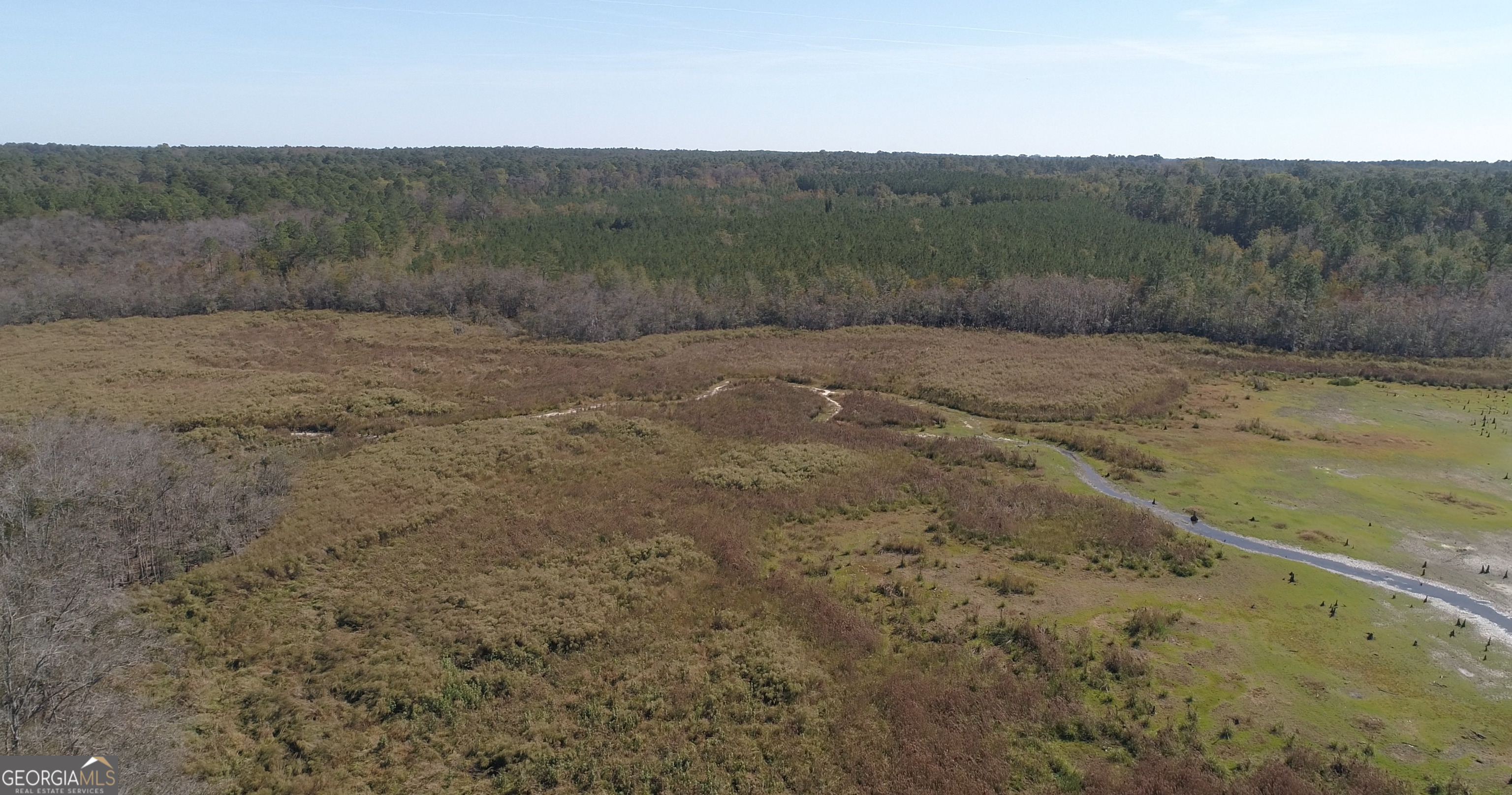 2202 Kennedy Bridge Road Register, GA 30452 - Photo 16 of 21 a view of an outdoor space and a yard