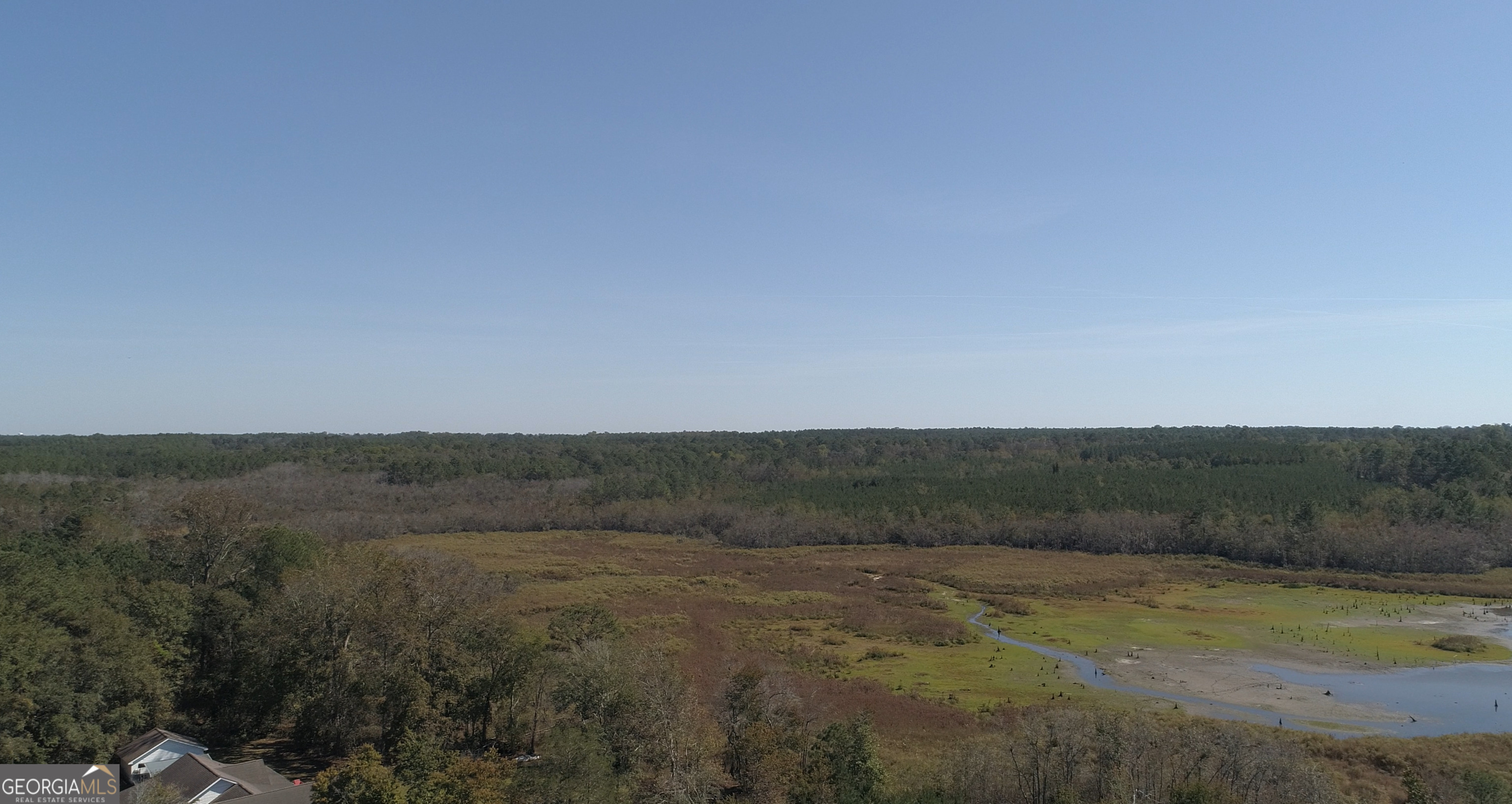 2202 Kennedy Bridge Road Register, GA 30452 - Photo 2 of 21 a view of a field of grass and trees