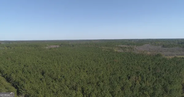 a view of a city with lush green forest