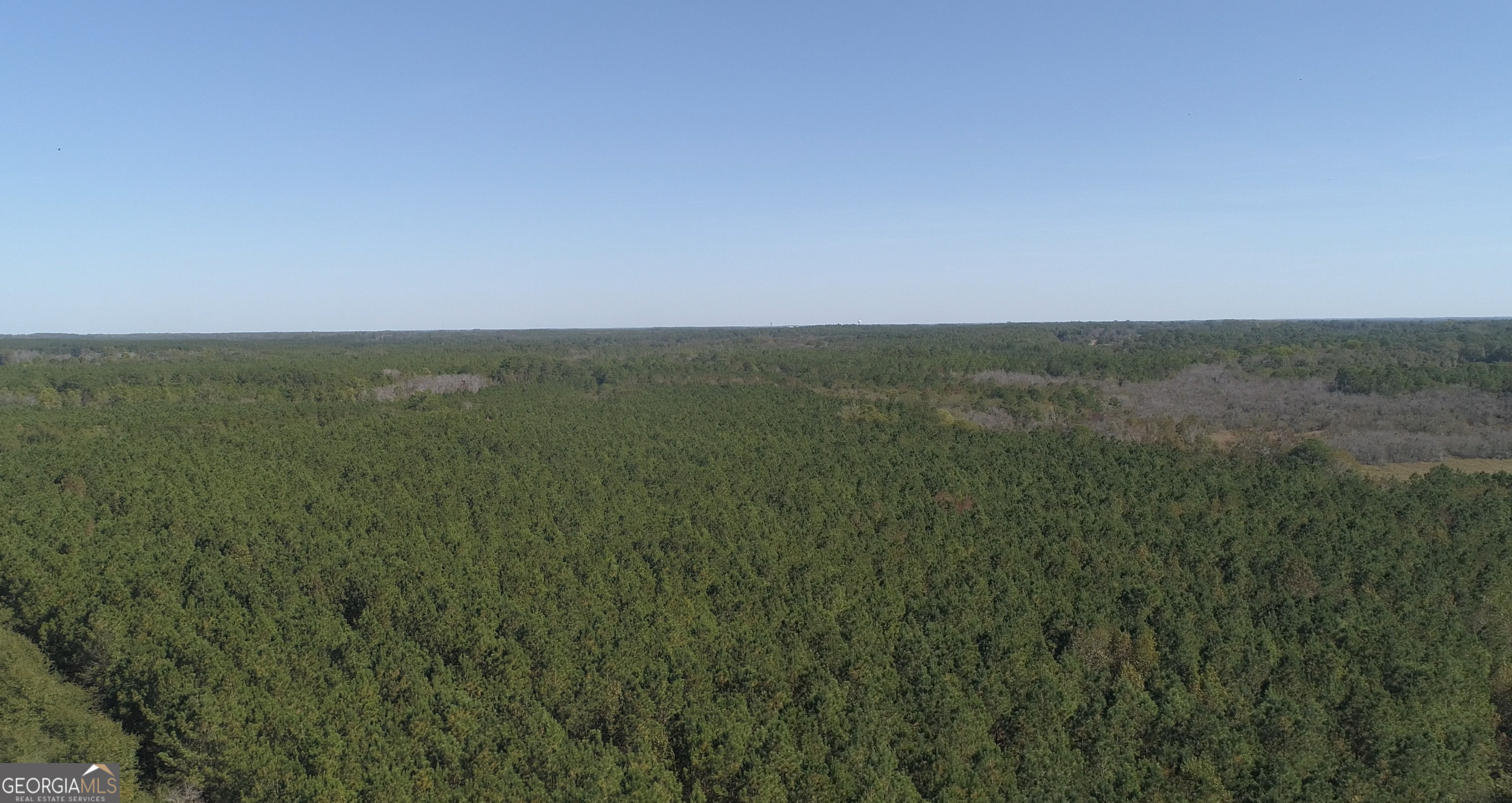 2202 Kennedy Bridge Road Register, GA 30452 - Photo 6 of 21