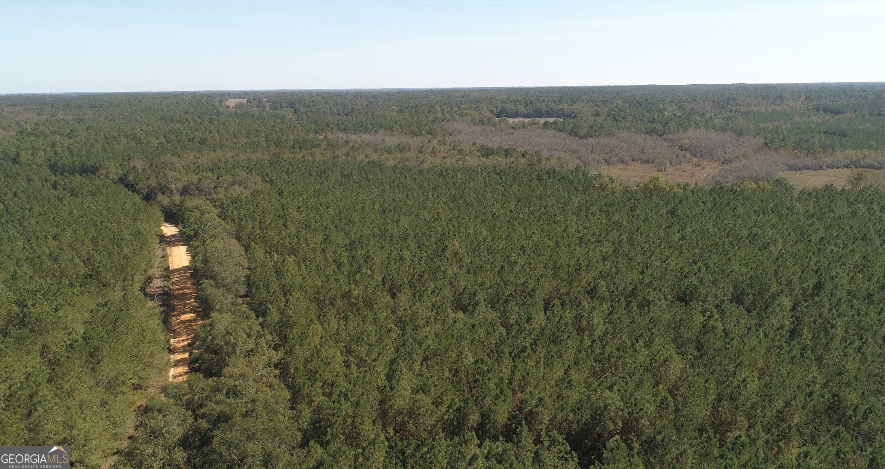 2202 Kennedy Bridge Road Register, GA 30452 - Photo 7 of 21 a view of a city with lush green forest