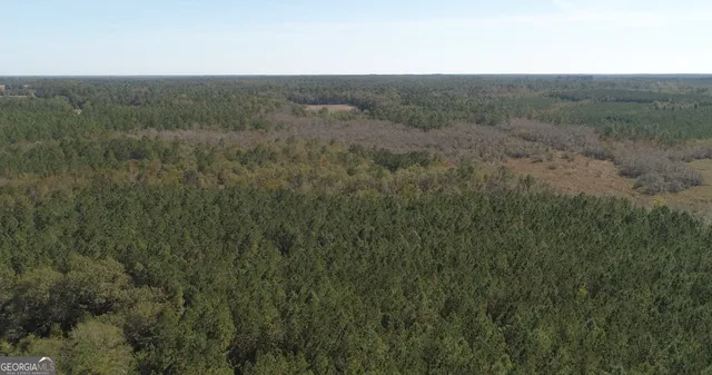 an aerial view of mountain with trees around