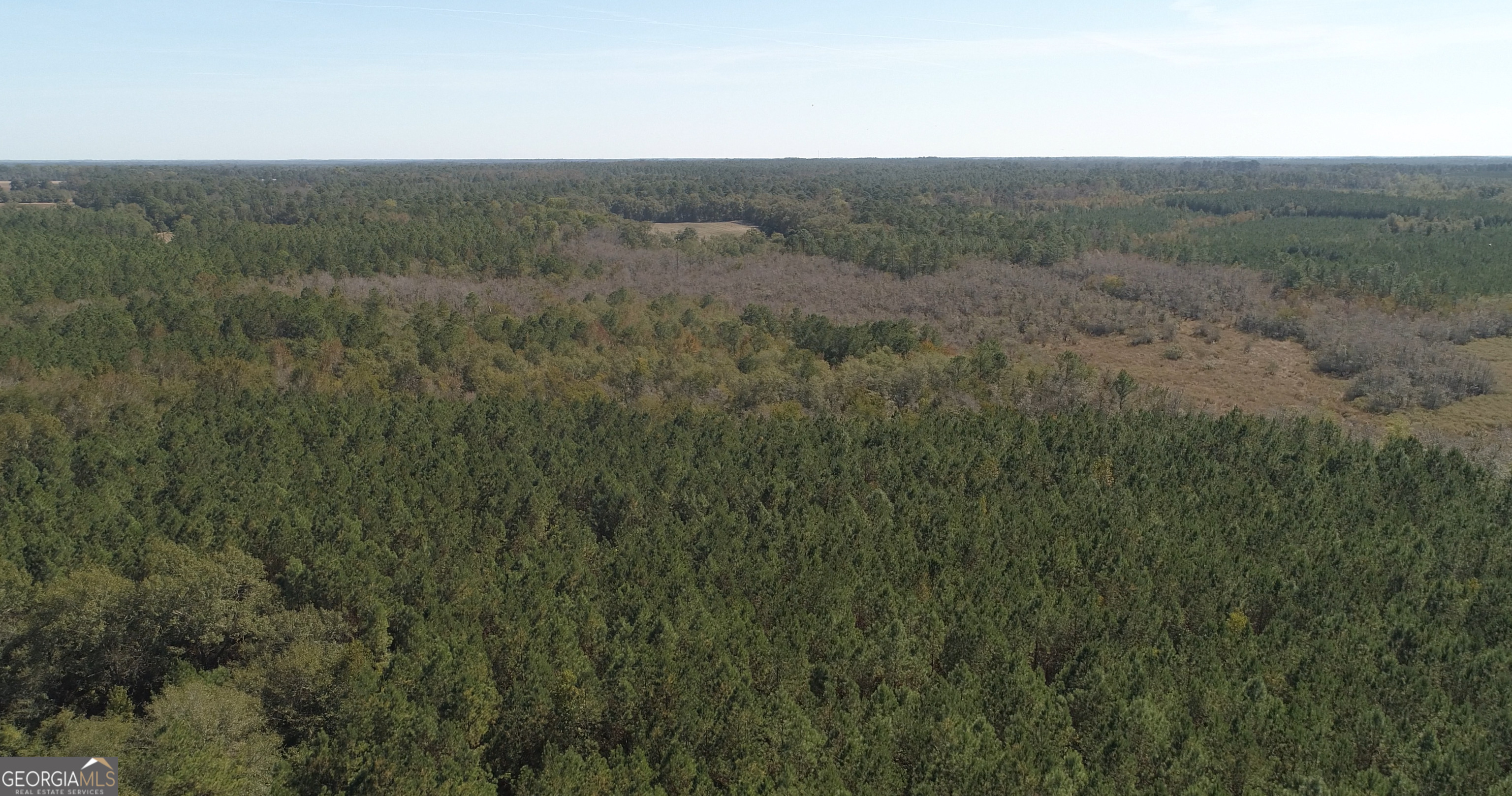 2202 Kennedy Bridge Road Register, GA 30452 - Photo 8 of 21 a view of a field of grass and trees
