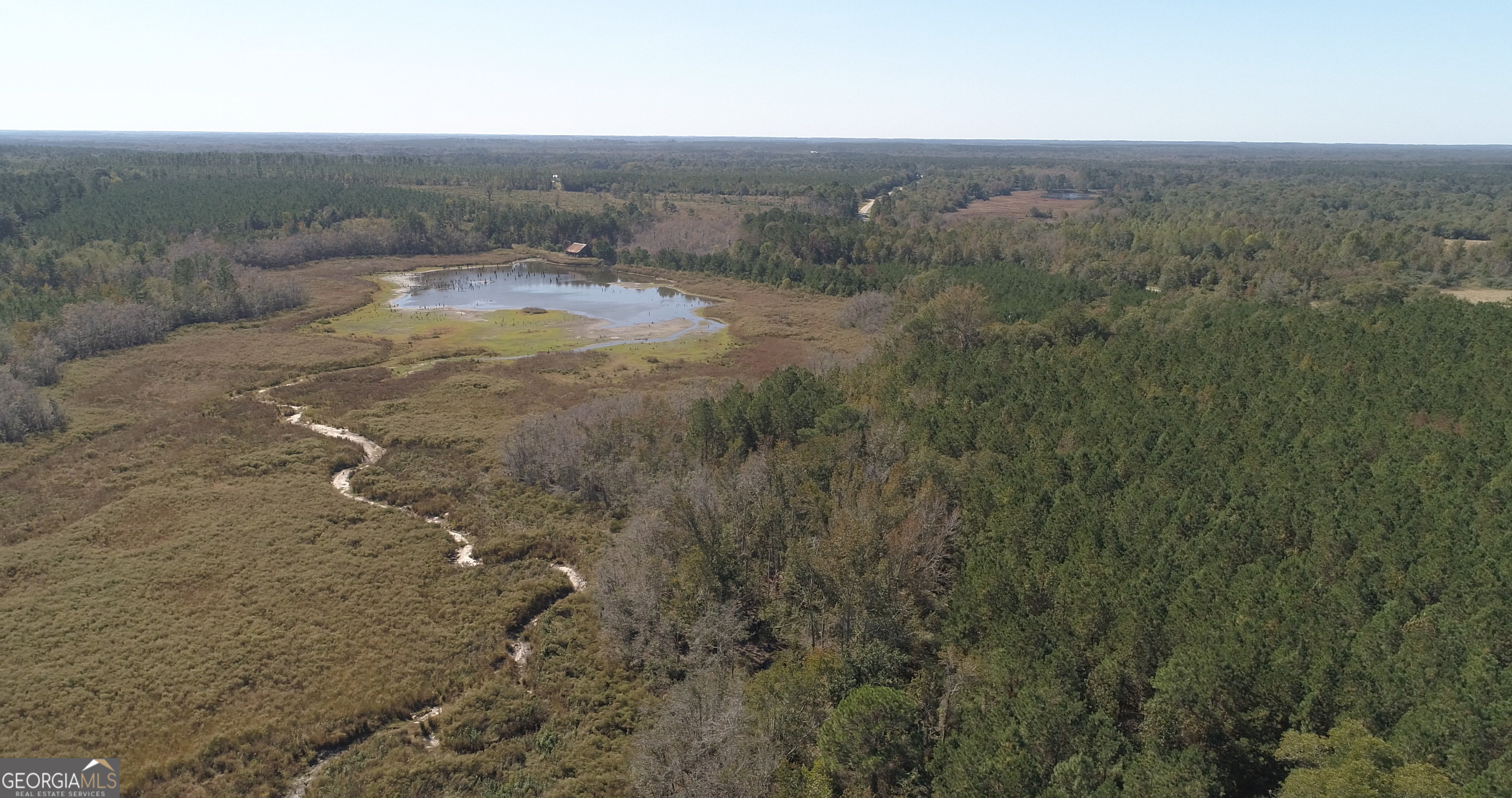 2202 Kennedy Bridge Road Register, GA 30452 - Photo 9 of 21 an aerial view of mountain with trees around