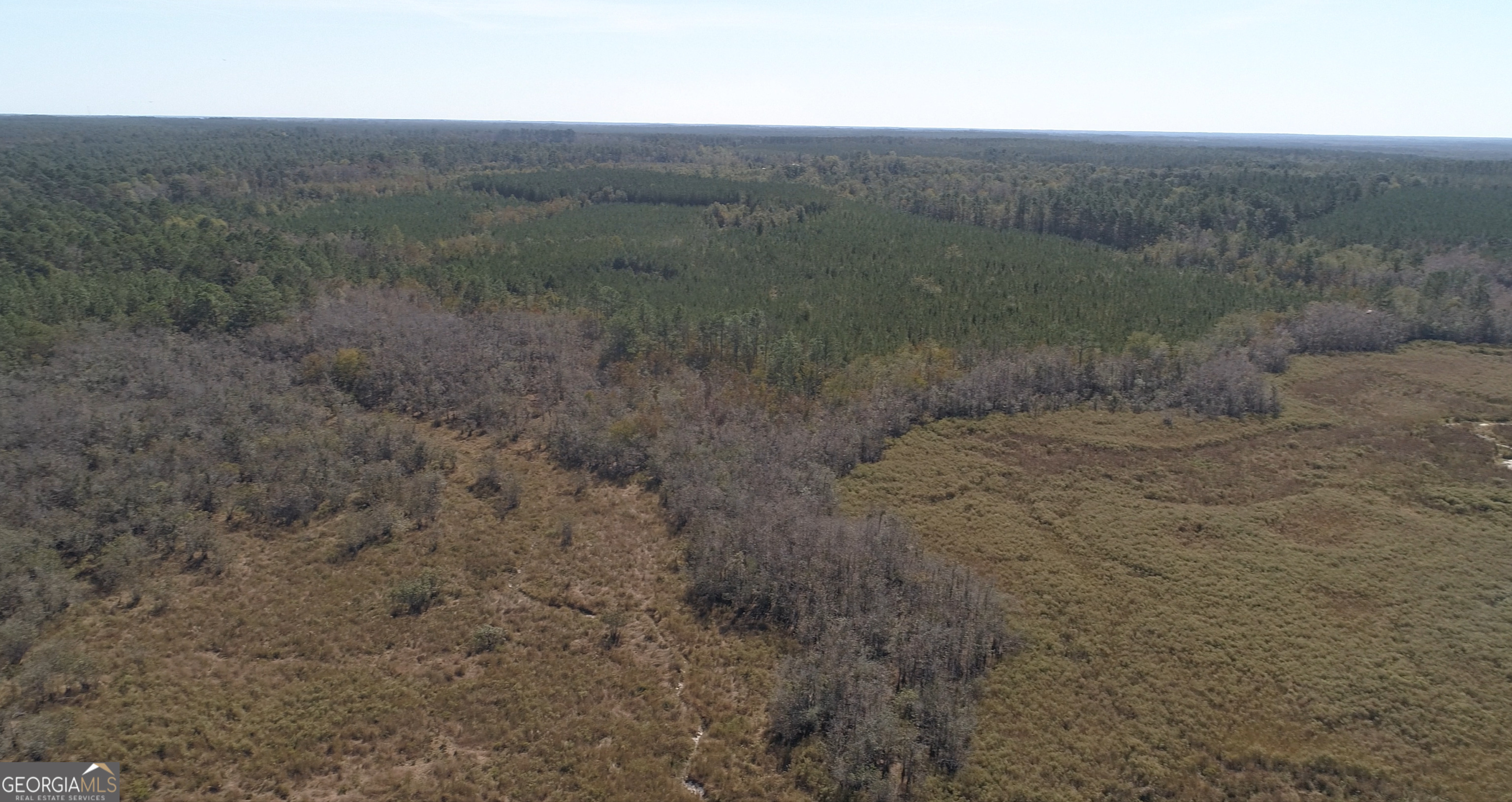 2202 Kennedy Bridge Road Register, GA 30452 - Photo 10 of 21 a view of a dry yard with trees