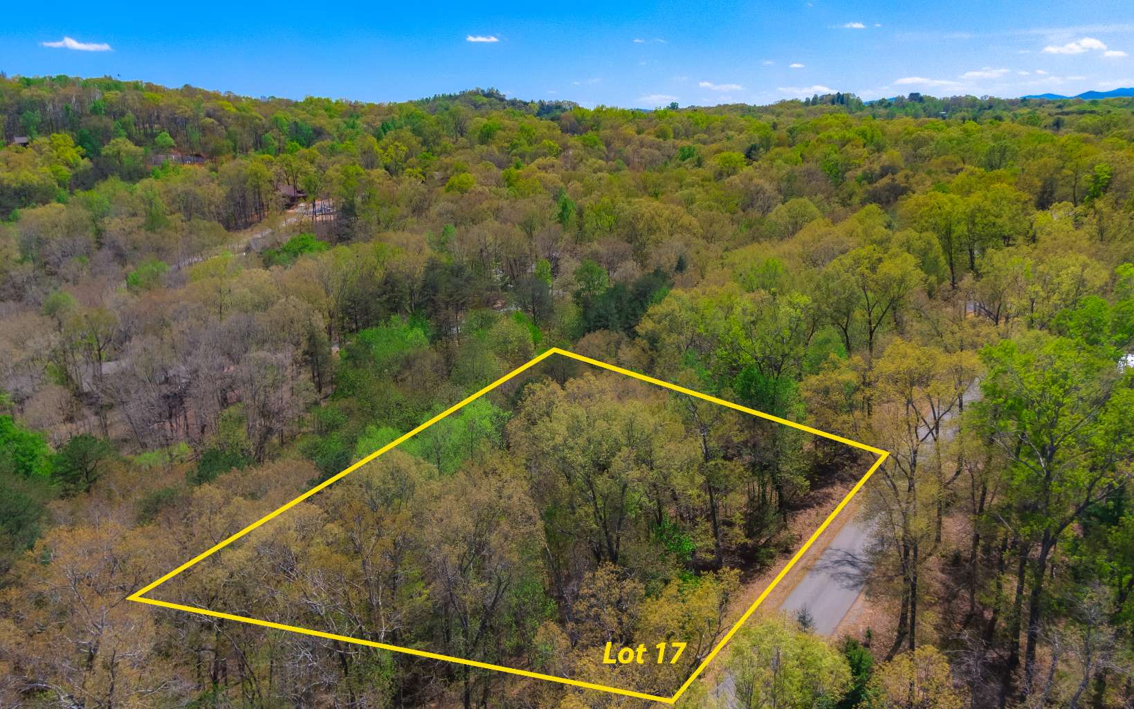 17 Ivy Ridge Estates Blue Ridge, GA 30513 - Photo 1 of 1 Main View