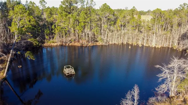 $280,000 | 481 Clifford Purvis Road, Collins, GA 30421