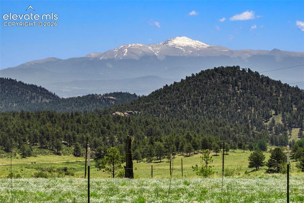546 Pulver Road Lake George, CO 80827 - Photo 25 of 45 a view of a mountain