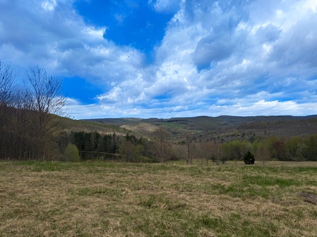 165 Ridge Road Hamden, NY 13782 - Photo 15 of 27