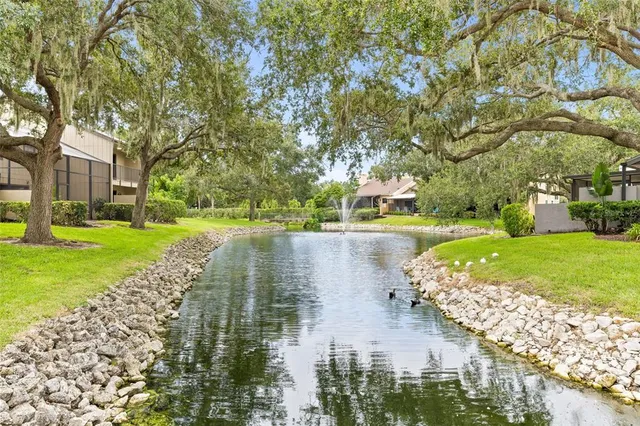 a view of a garden with large trees
