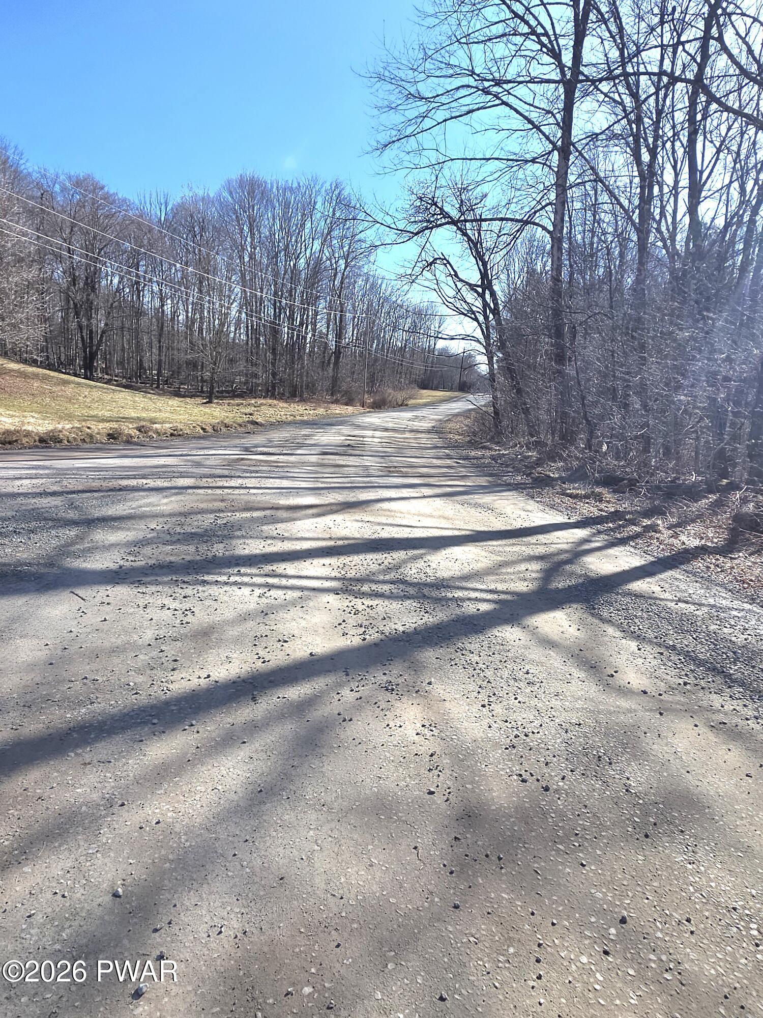 183 Galloway Road Equinunk, PA 18417 - Photo 33 of 51 Dirt Road
