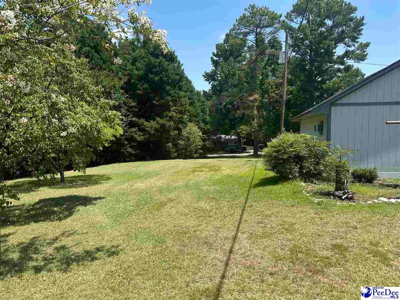 302 State Road Cheraw, SC 29520 - Photo 5 of 24 Gallery Image 5