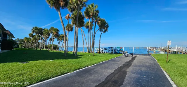 a view of a park with palm trees
