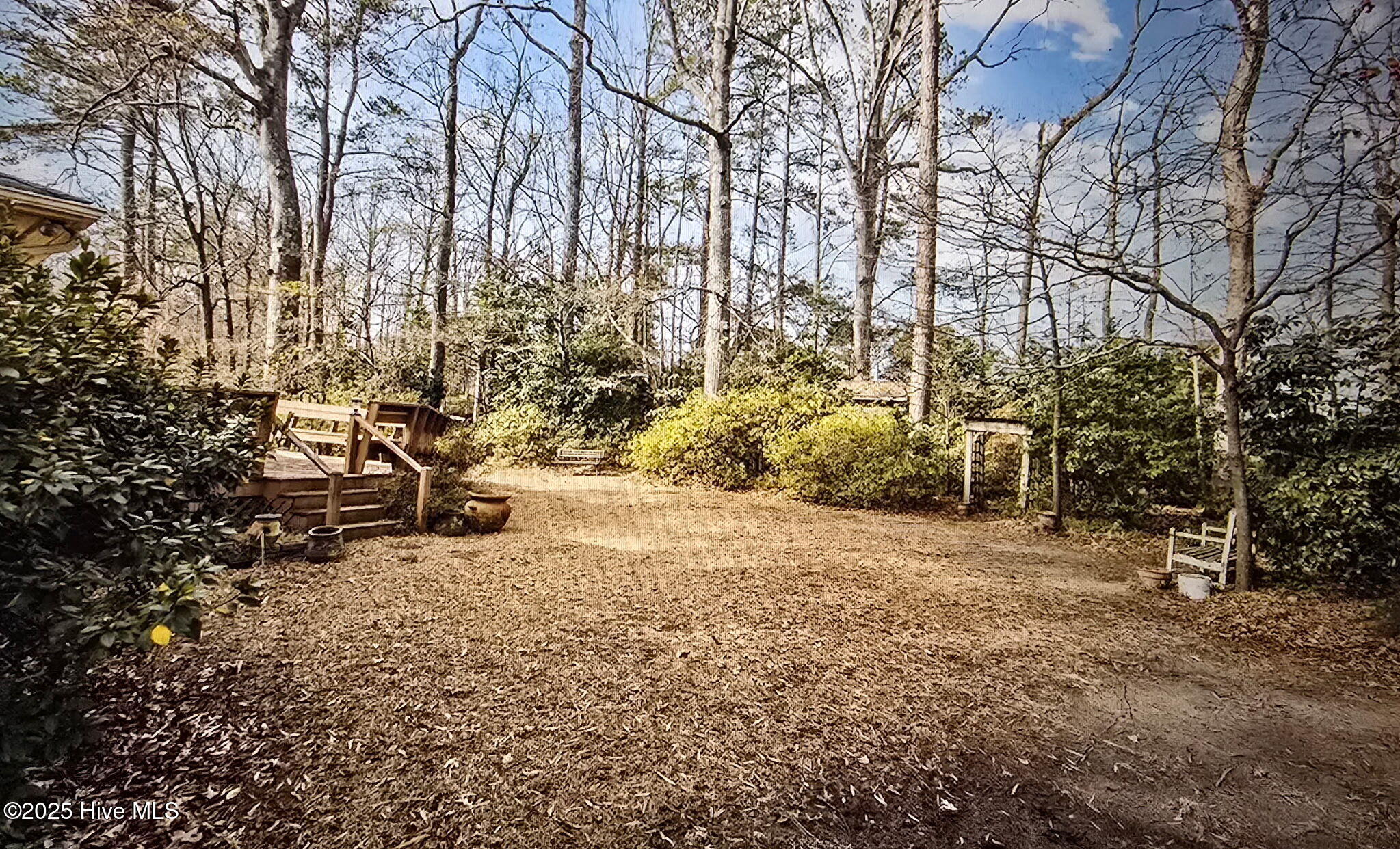 2100 Emerson Road Kinston, NC 28504 - Photo 25 of 25 back yard