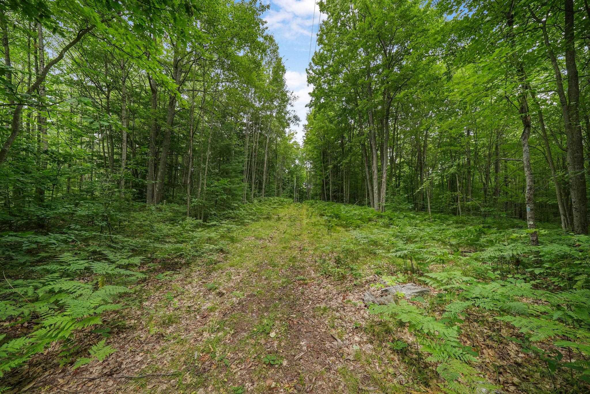 1050 North 47 1/2 Road Manton, MI 49663 - Photo 22 of 28 Gallery Image 22