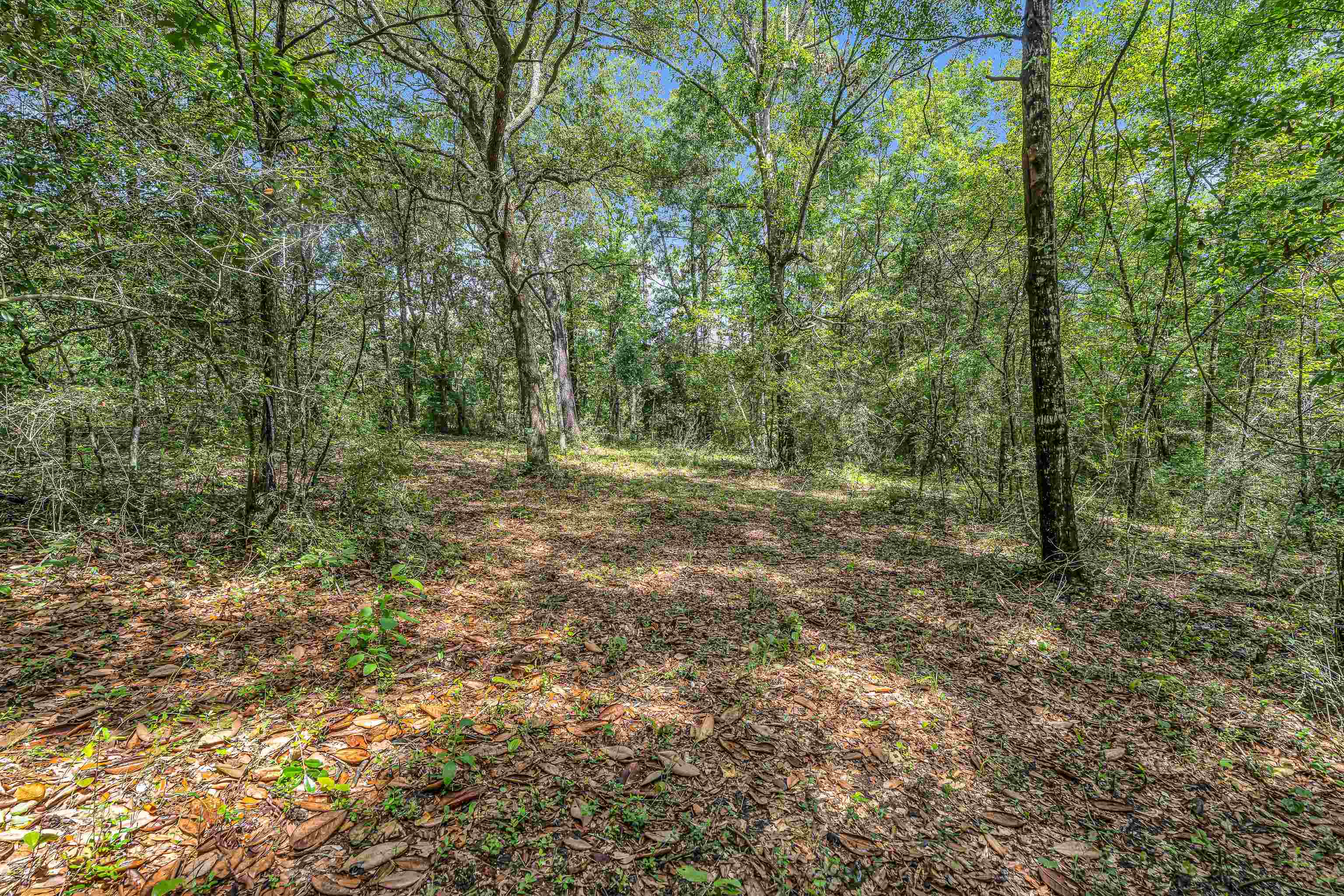 39 County Road 39 Stapleton, AL 36578 - Photo 11 of 16 View