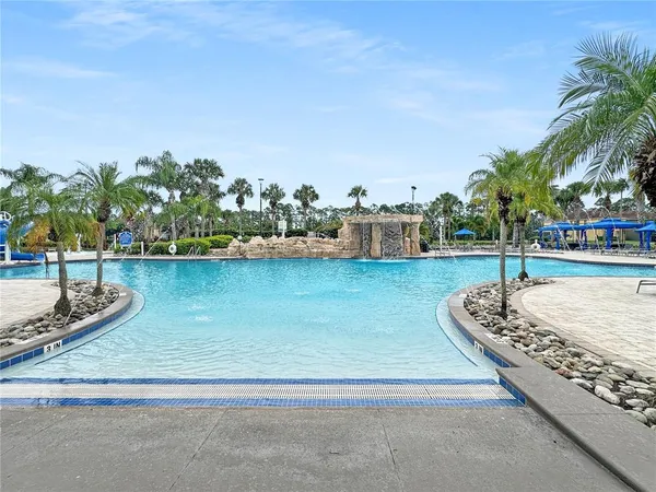 a view of a swimming pool with a bench and palm trees
