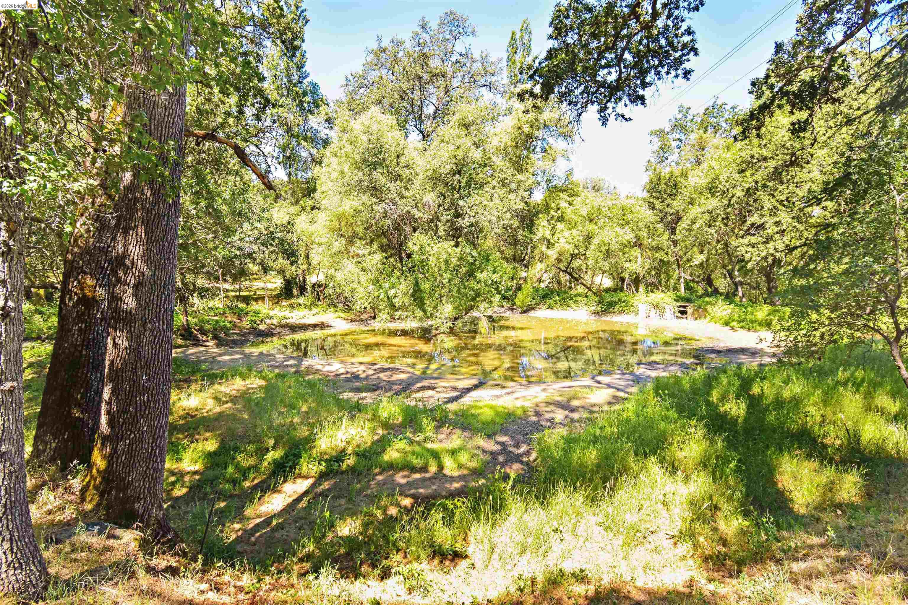 13904 Tuolumne Road Sonora, CA 95370 - Photo 34 of 44 Natural water feature surrounded by mature trees and lush vegetation