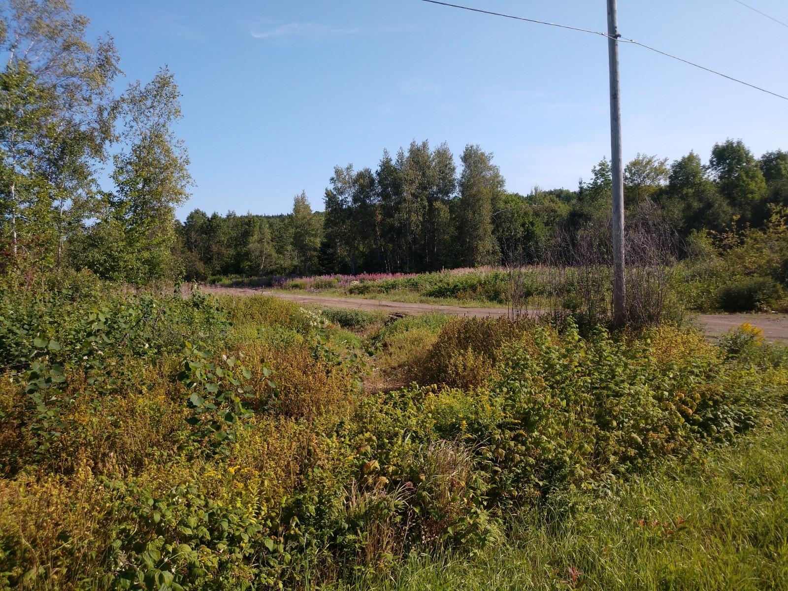 Tbd Winding Hill Road Crystal, ME 04747 - Photo 4 of 9 IMG_20180829_090956705