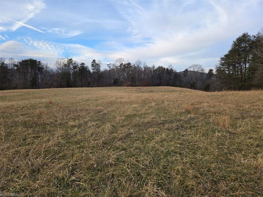 2790 Mountain View Church Road King, NC 27021 - Photo 6 of 24 View from back fields - just a peek of the mountain through the trees