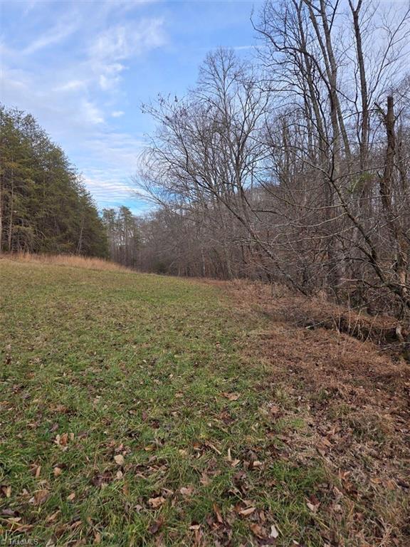 2790 Mountain View Church Road King, NC 27021 - Photo 10 of 24 Cleared along the creek