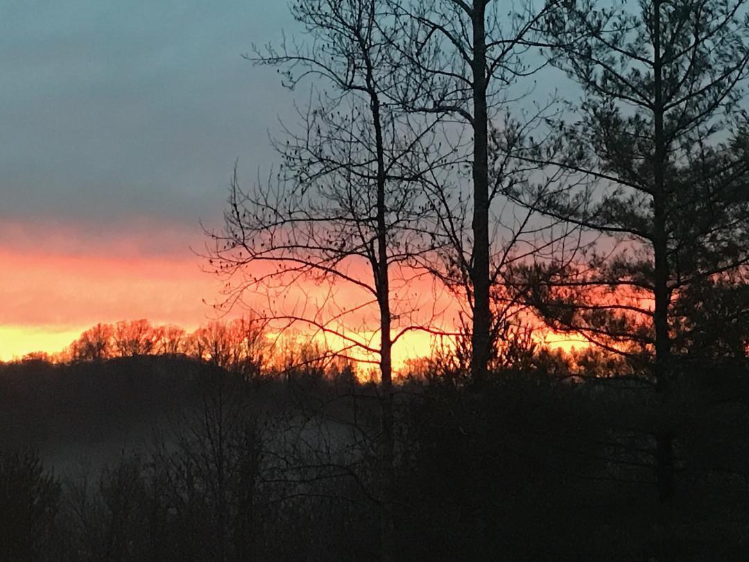 4076 Aerospace Road Roanoke, VA 24014 - Photo 2 of 62 a backyard of a house with lots of green space