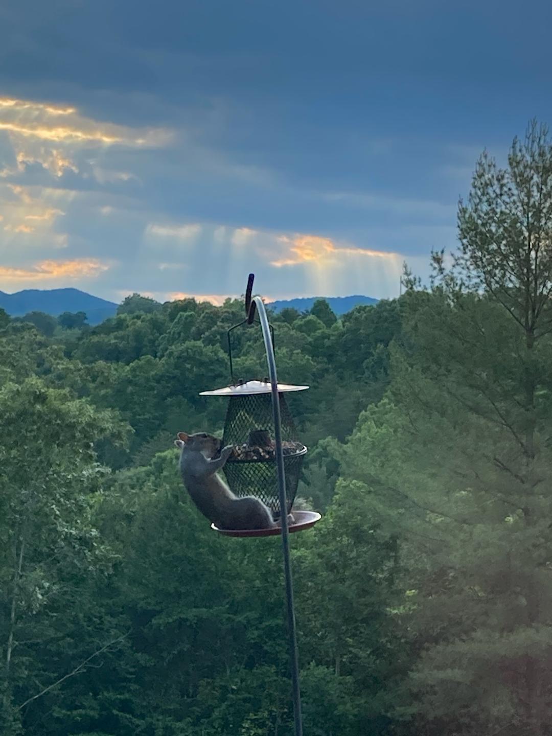 4076 Aerospace Road Roanoke, VA 24014 - Photo 3 of 62 4076 Aerospace Dr. Mountain View