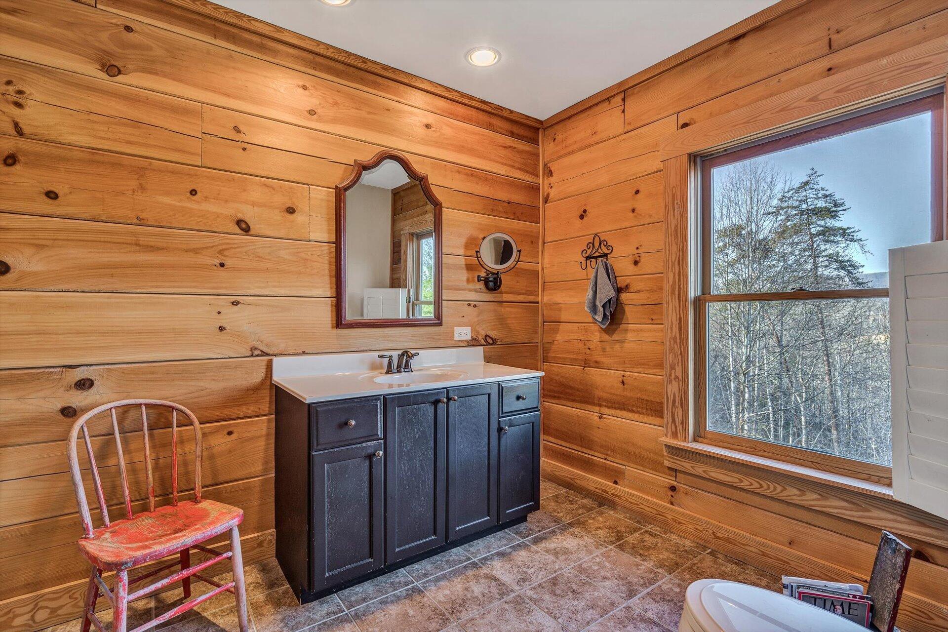 4076 Aerospace Road Roanoke, VA 24014 - Photo 37 of 62 a bathroom with a sink a mirror and a shower