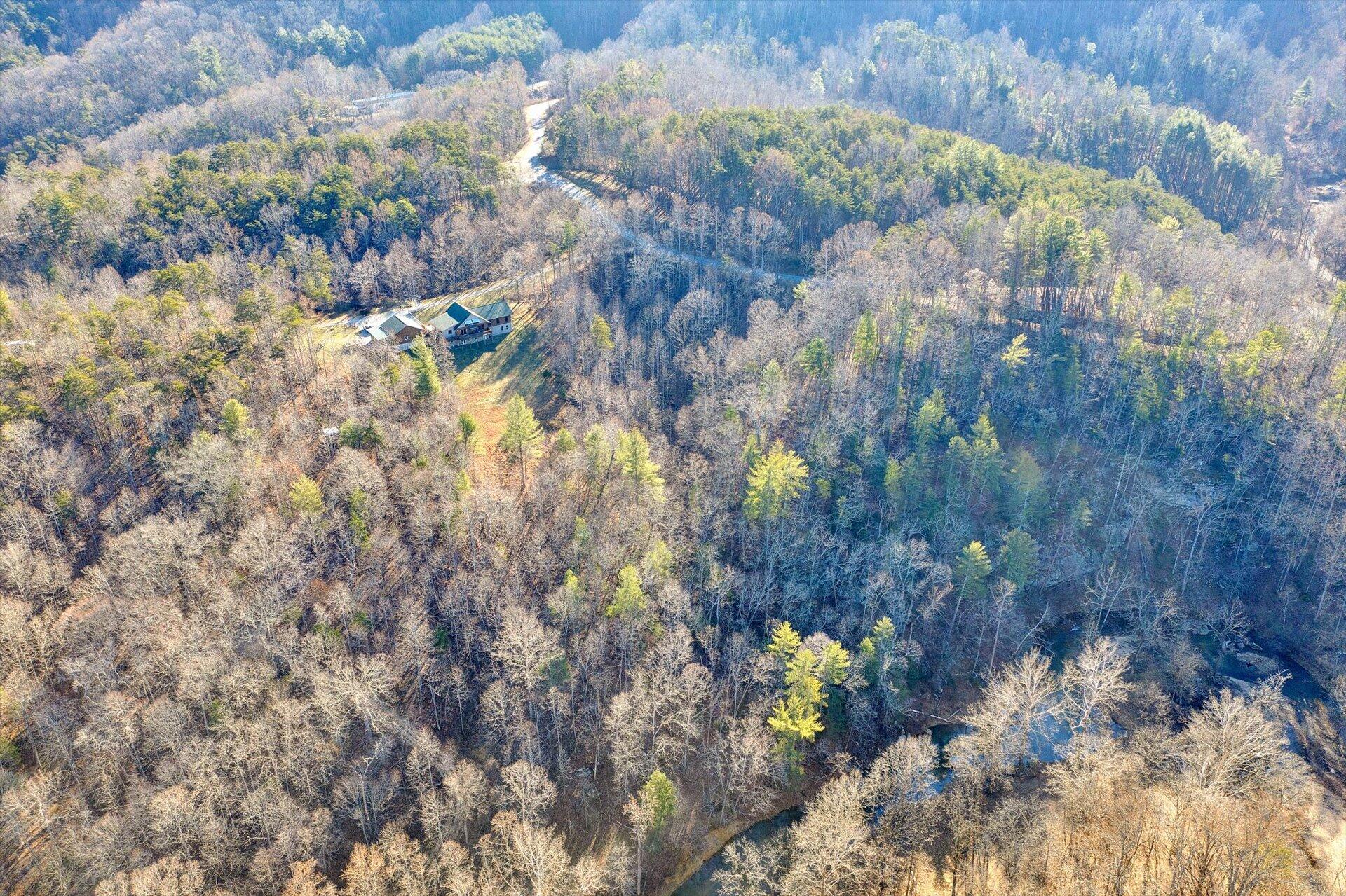 4076 Aerospace Road Roanoke, VA 24014 - Photo 53 of 62 a picture of tree