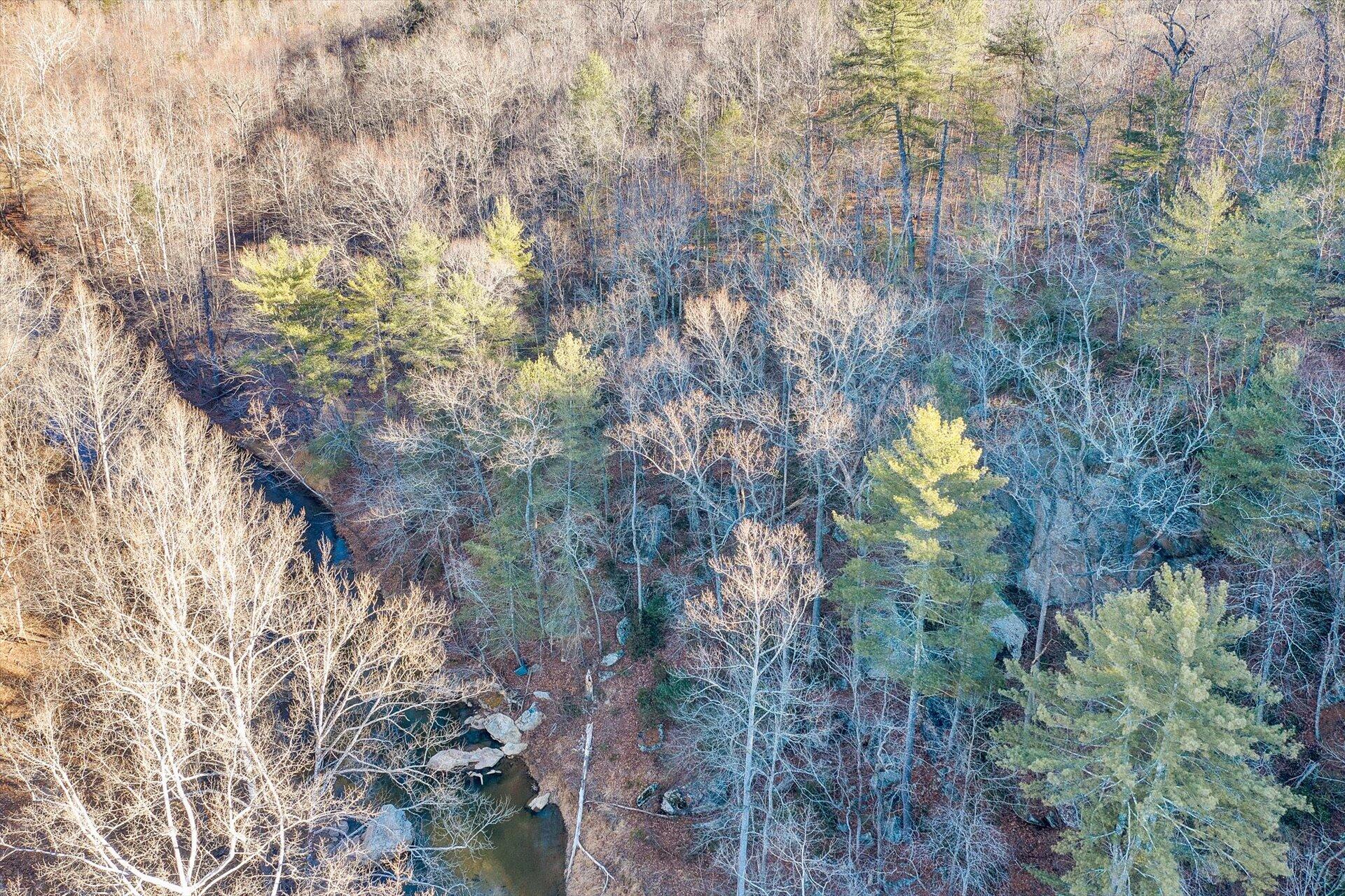 4076 Aerospace Road Roanoke, VA 24014 - Photo 56 of 62 a view of a tree in a forest