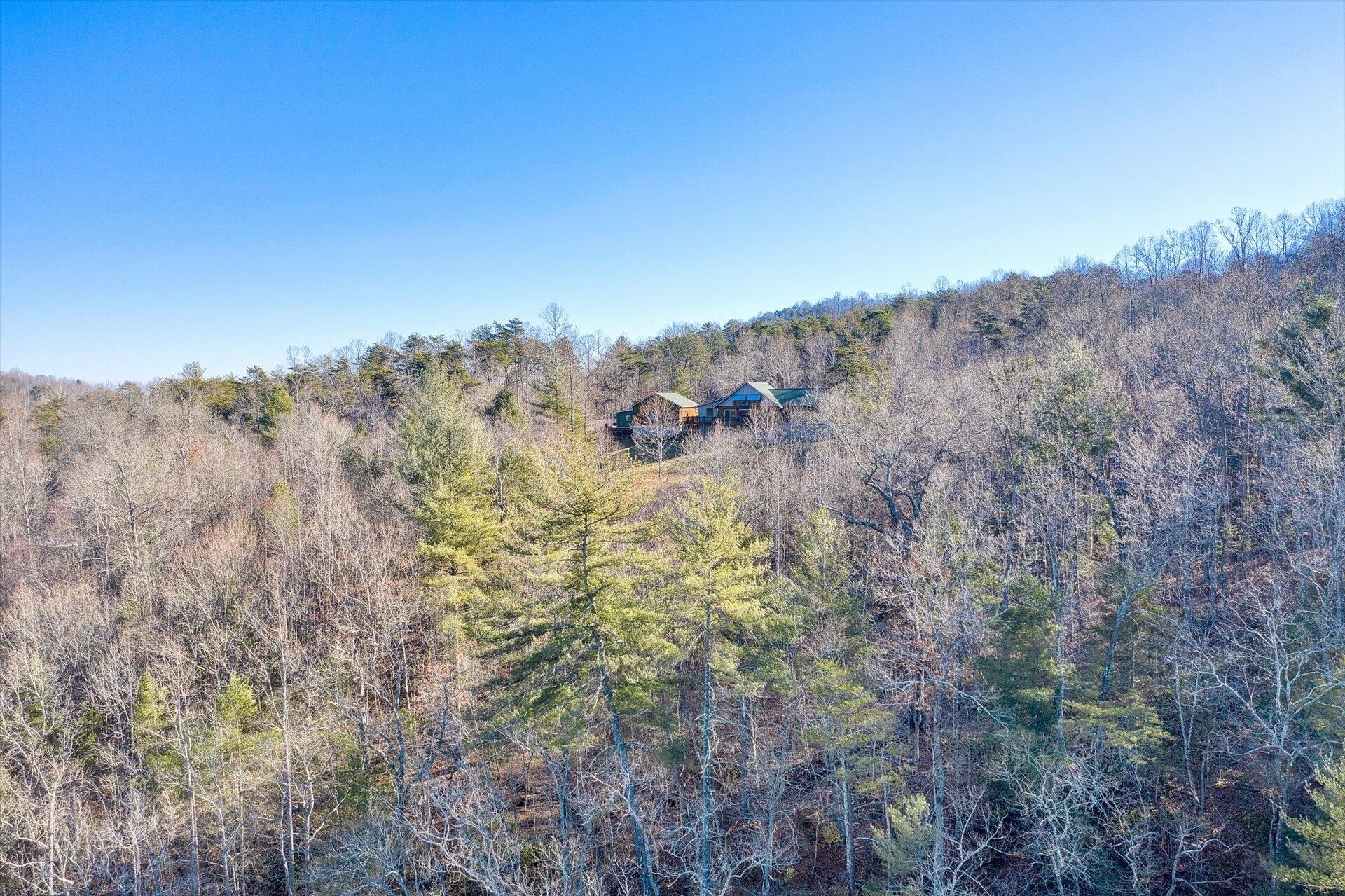 4076 Aerospace Road Roanoke, VA 24014 - Photo 57 of 62 a view of a yard