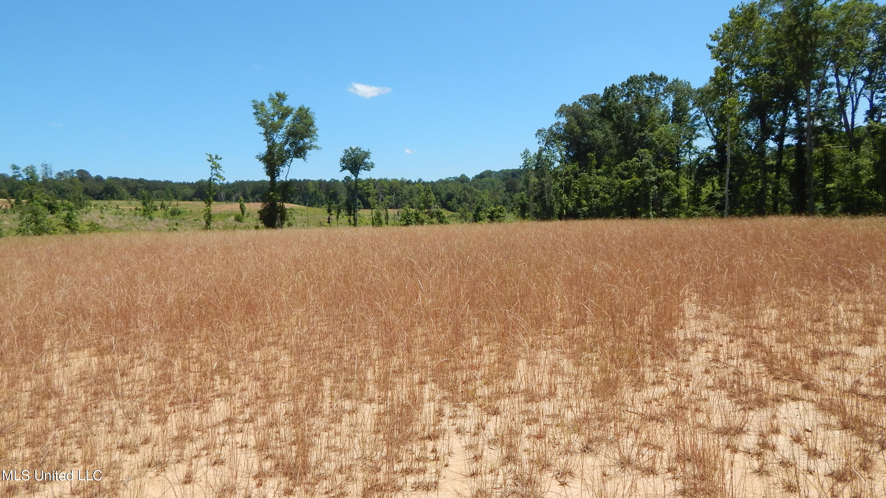 207 Hugh White State Pk Road Grenada, MS 38901 - Photo 2 of 17 DSCN6919