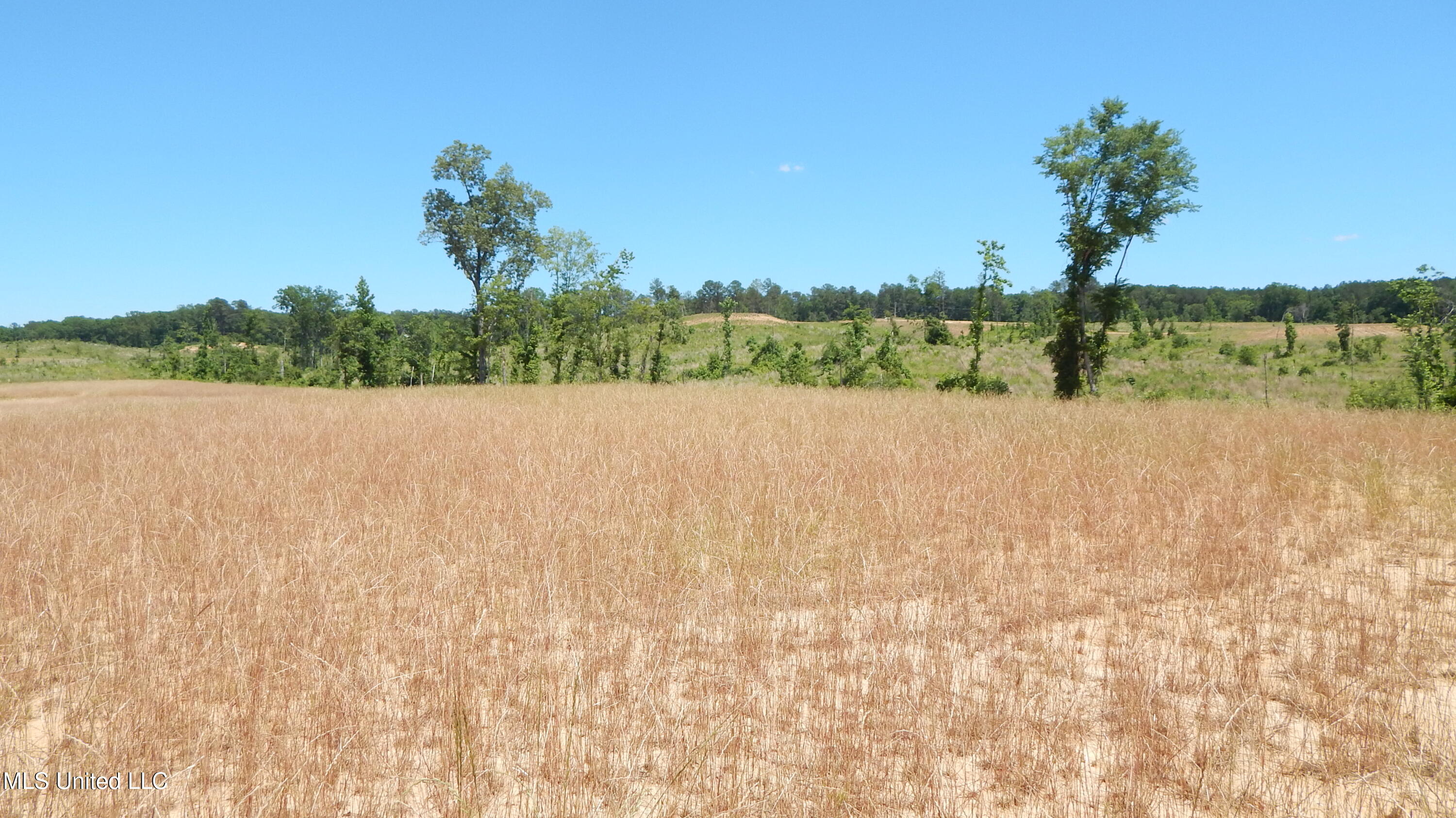 207 Hugh White State Pk Road Grenada, MS 38901 - Photo 4 of 17 DSCN6924