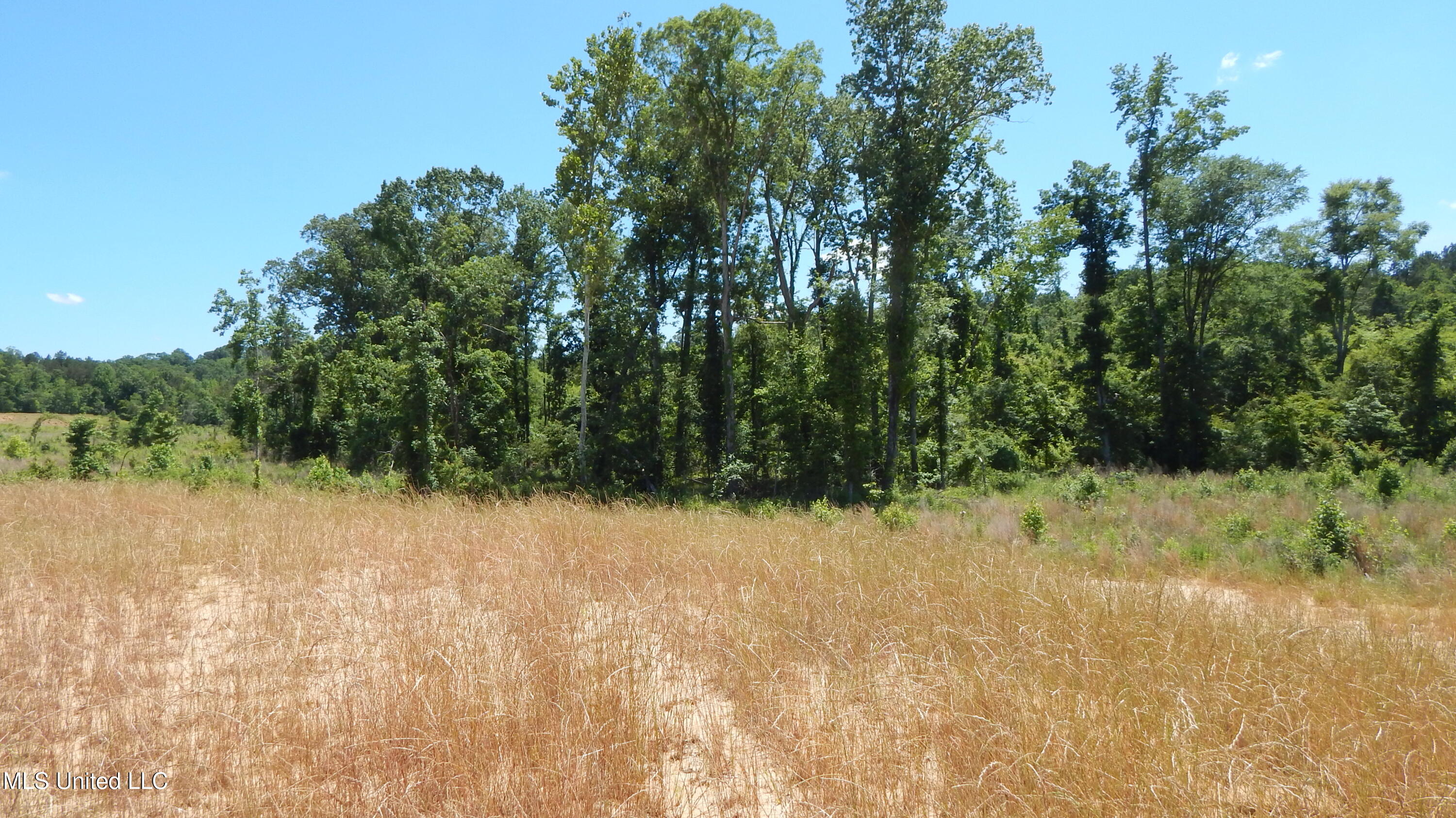 207 Hugh White State Pk Road Grenada, MS 38901 - Photo 5 of 17 DSCN6922