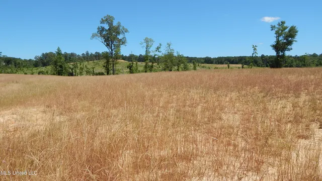 $54,900 | 207 Hugh White State Pk Road, Grenada, MS 38901