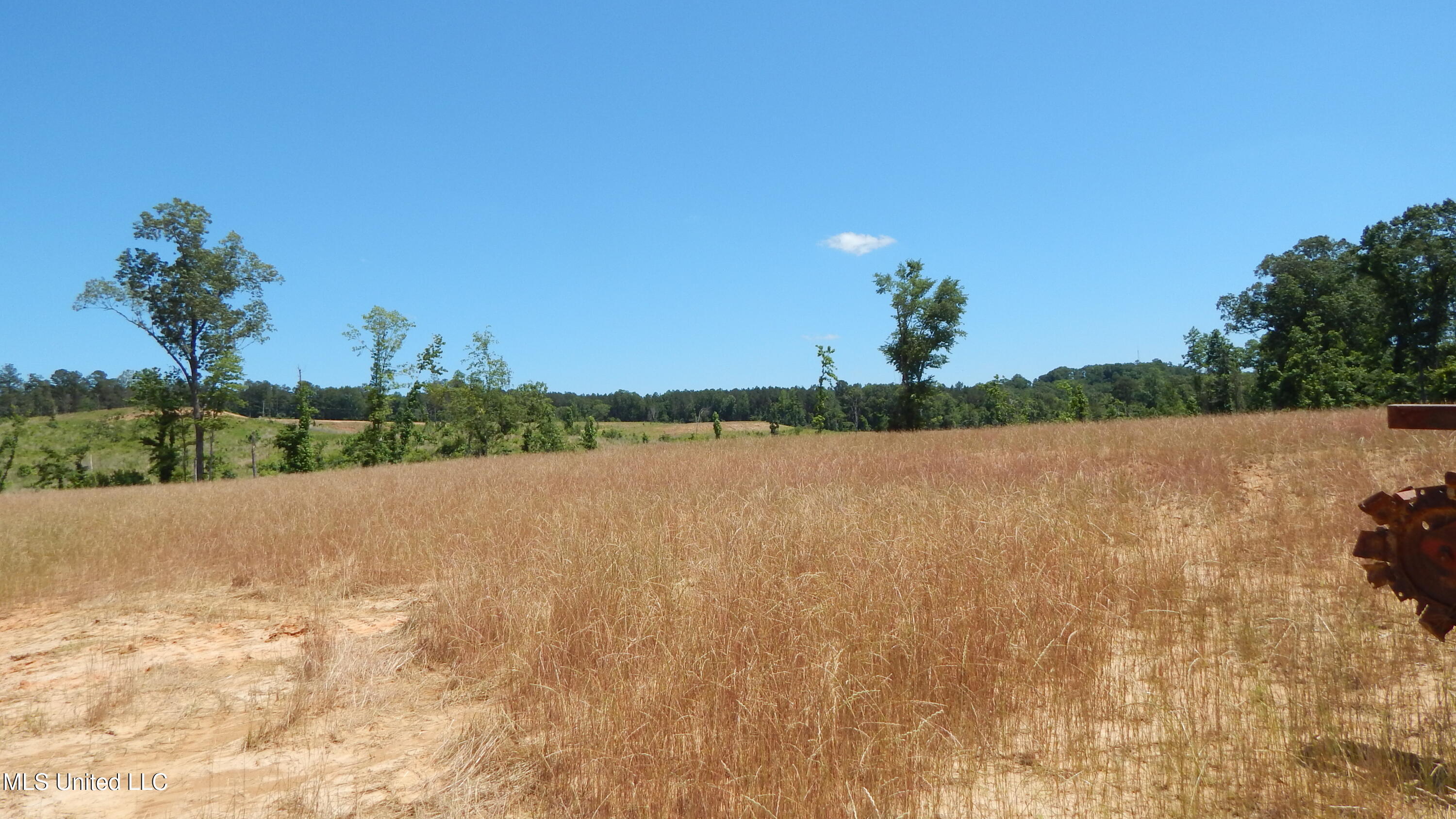 207 Hugh White State Pk Road Grenada, MS 38901 - Photo 7 of 17 DSCN6917