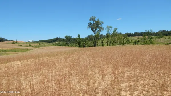 $54,900 | 207 Hugh White State Pk Road, Grenada, MS 38901