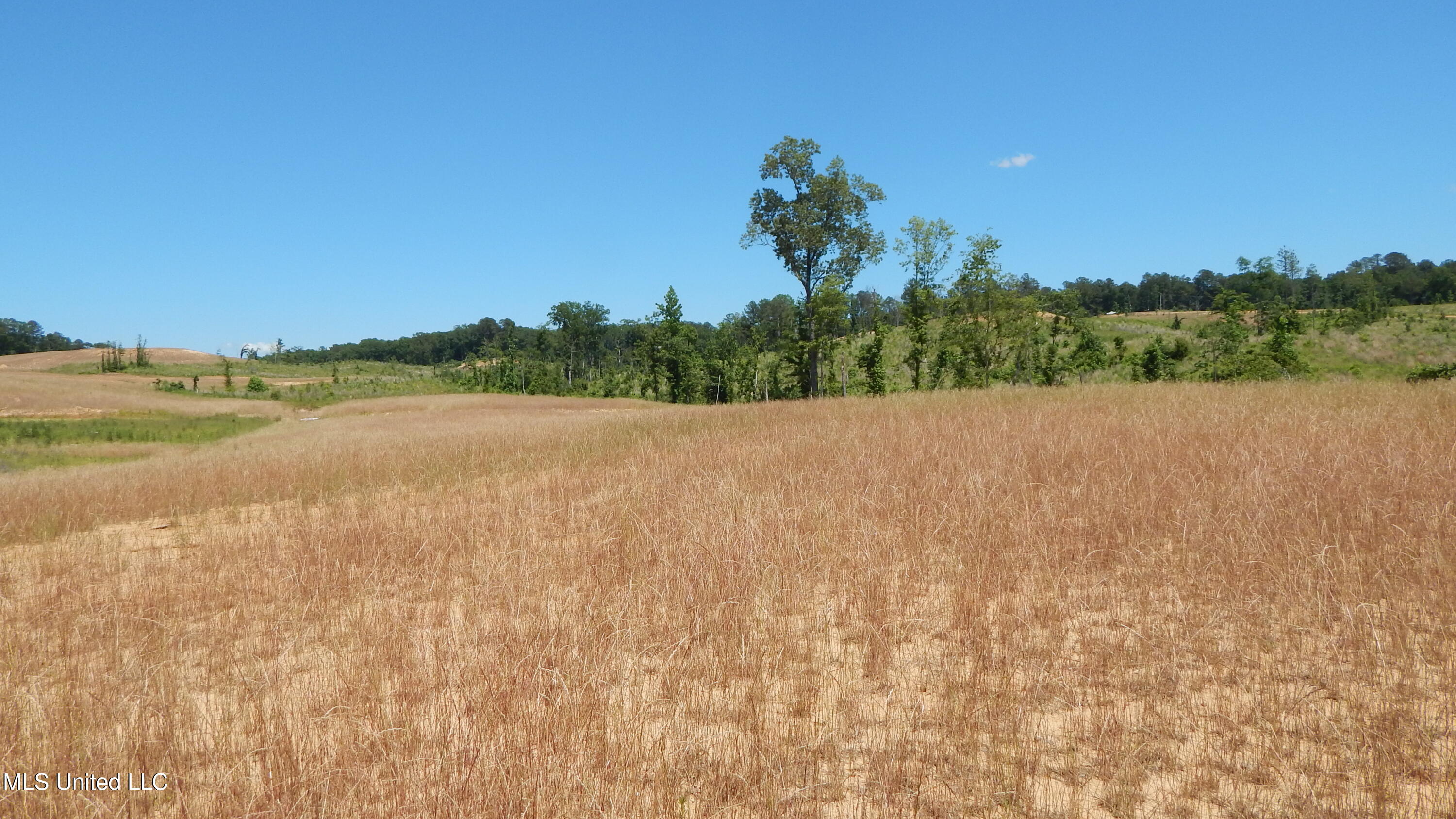 207 Hugh White State Pk Road Grenada, MS 38901 - Photo 8 of 17 DSCN6925