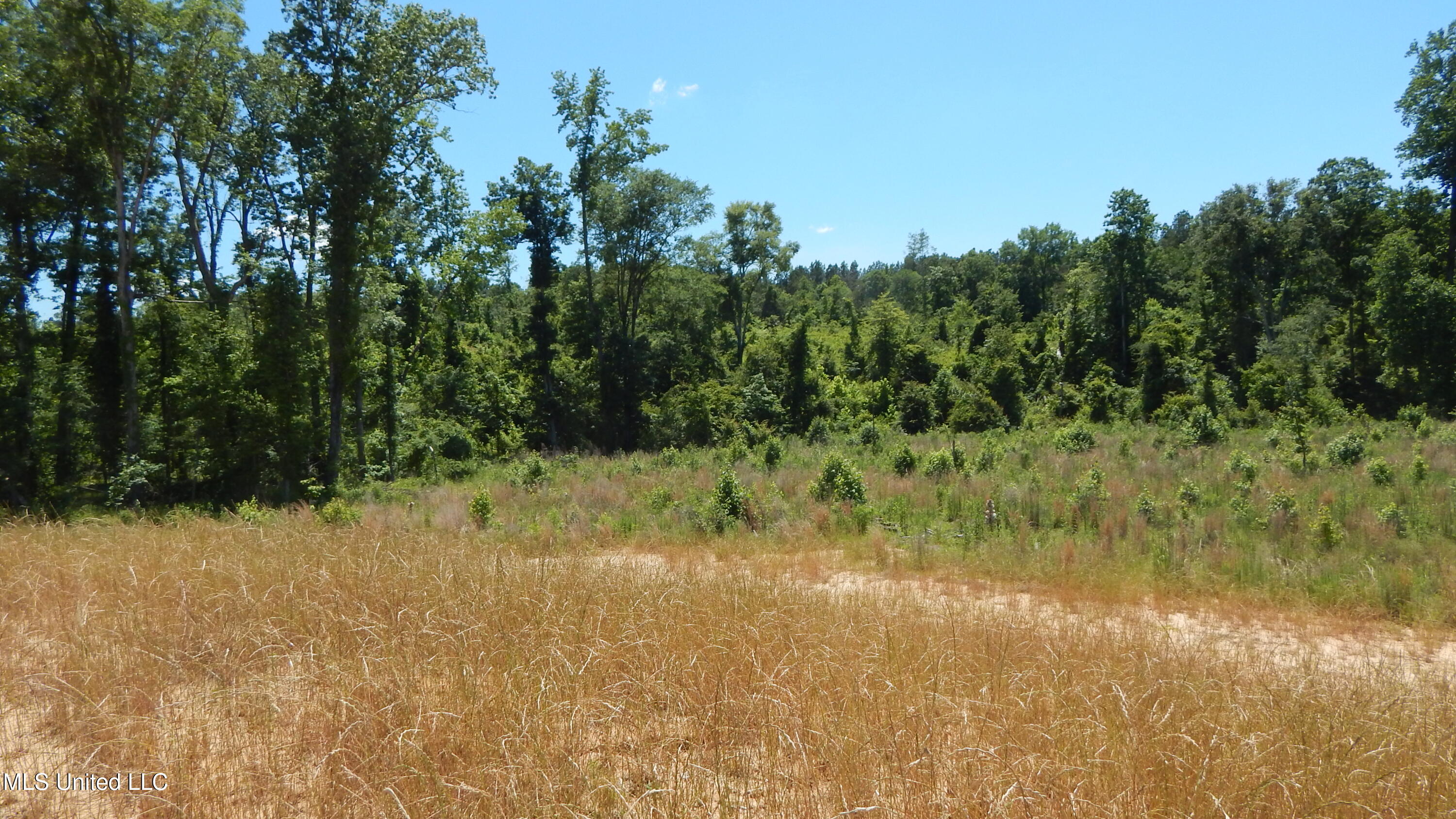 207 Hugh White State Pk Road Grenada, MS 38901 - Photo 9 of 17 DSCN6921