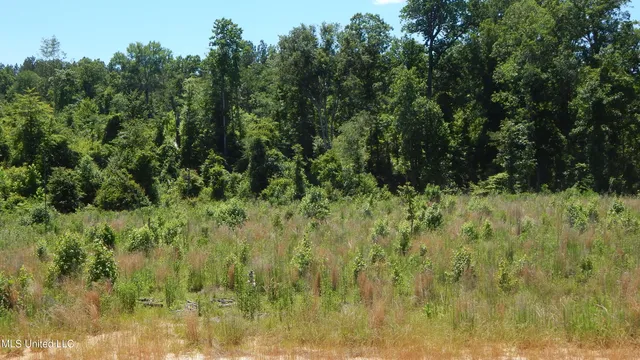 $54,900 | 207 Hugh White State Pk Road, Grenada, MS 38901