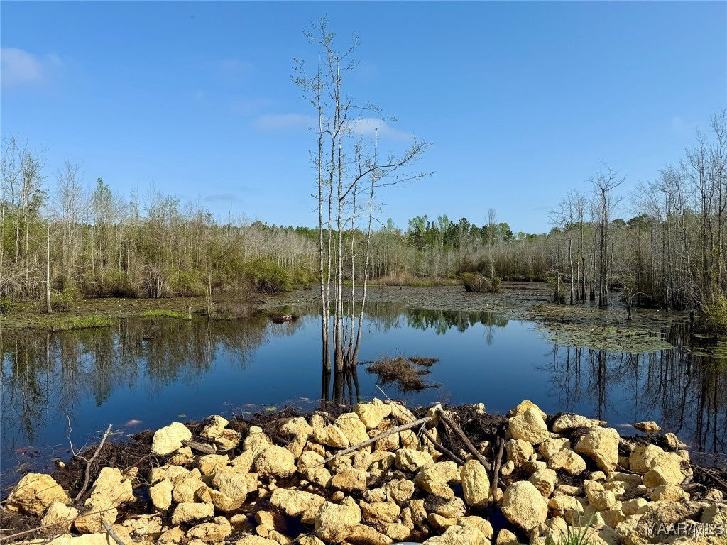 13.5-acres Red Oak Road Florala, AL 36442 - Photo 9 of 13 Gallery Image 9