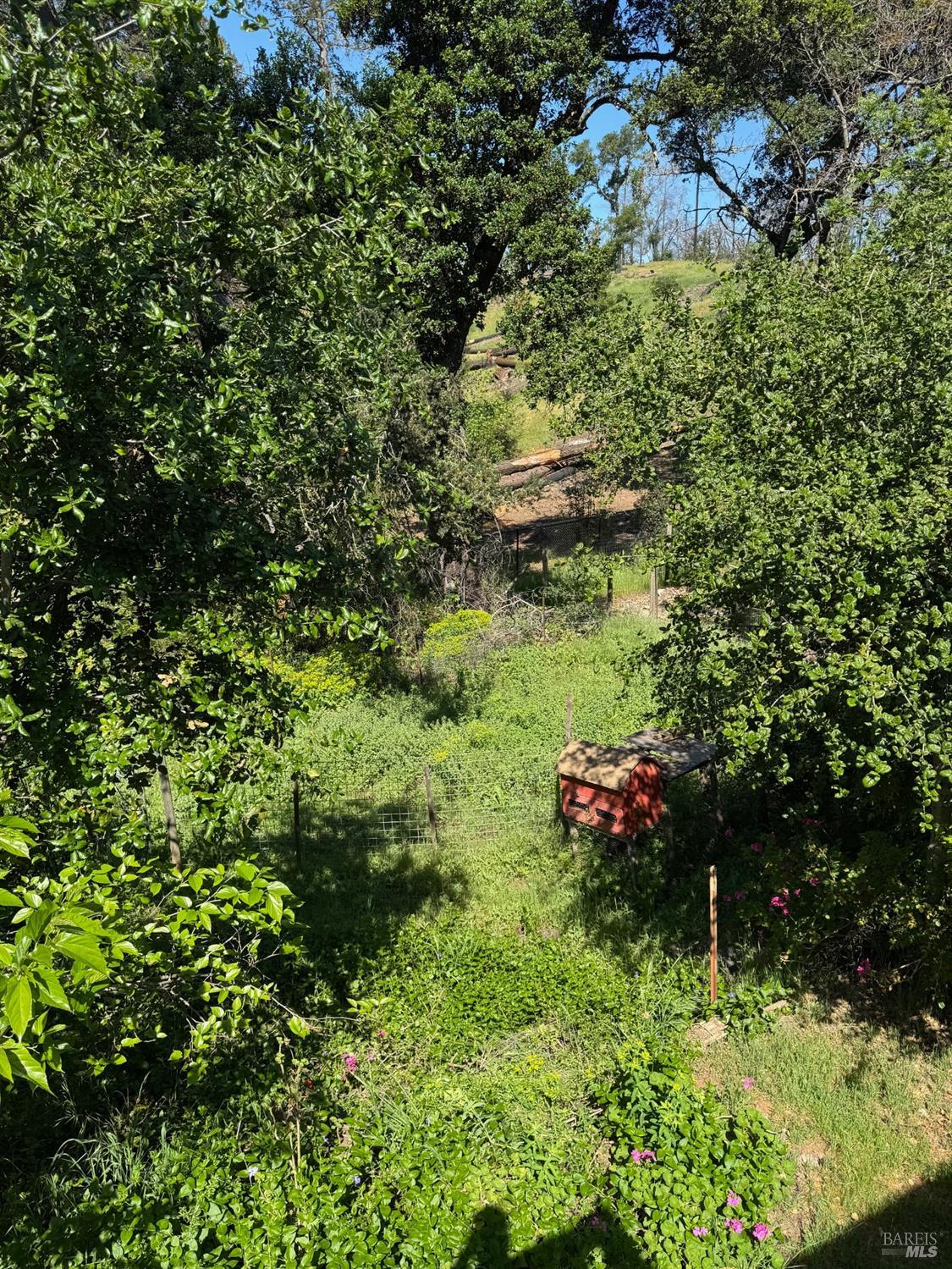 896 Sanitarium Road Deer Park, CA 94574 - Photo 19 of 20 a view of a forest