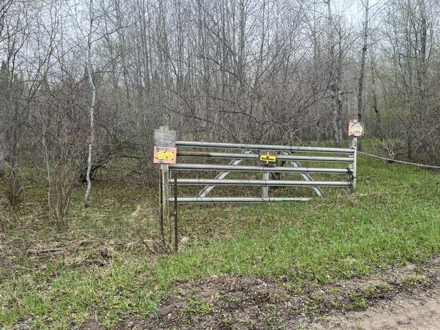0 Wallen Road Thompsonville, MI 49683 - Photo 6 of 16 1947190-a89bd1ac-4ab7-4895-bbb9-dac9c7f74588.JPG