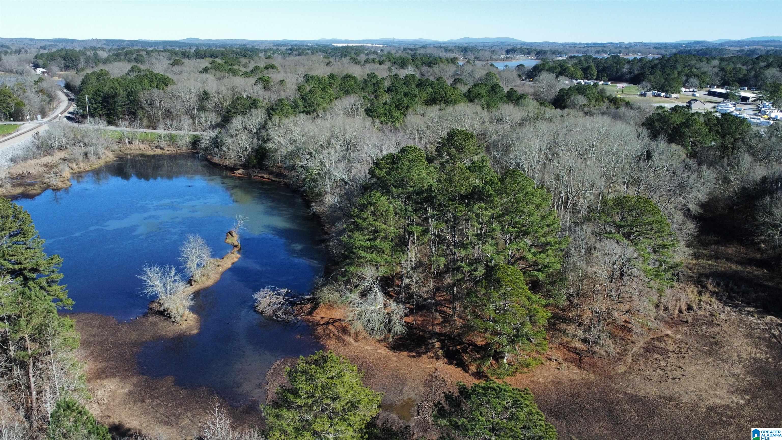 78 Highway Riverside, AL 35135 - Photo 14 of 23