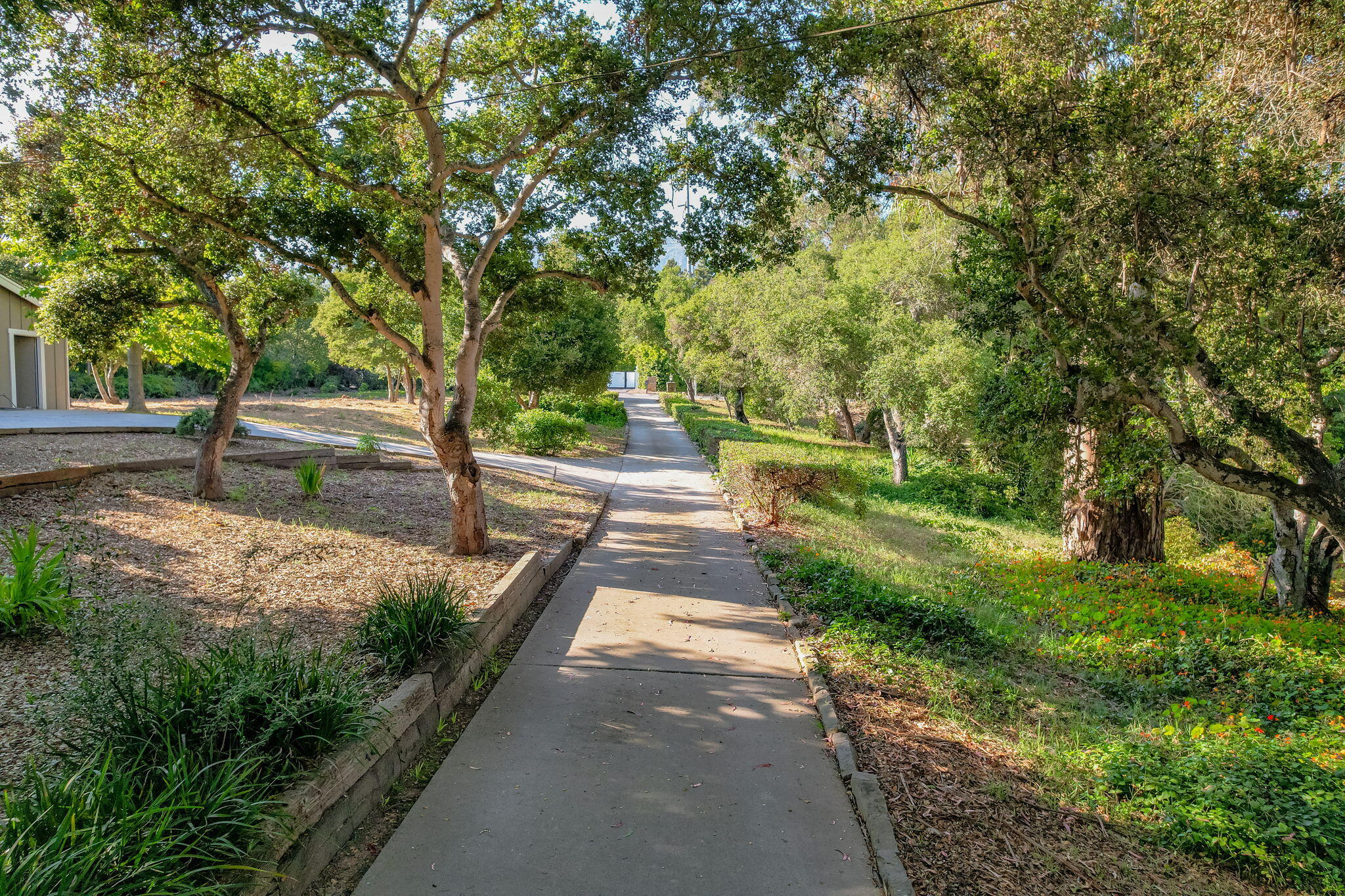 1445 School House Road Montecito, CA 93108 - Photo 45 of 53 a view of a yard with plants and trees