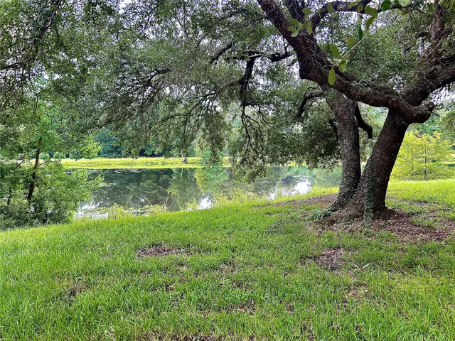 a view of a garden with large trees