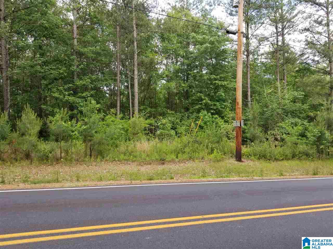 0 Pleasant Valley Road, Unit 8 42 Jacksonville, AL 36265 - Photo 2 of 10