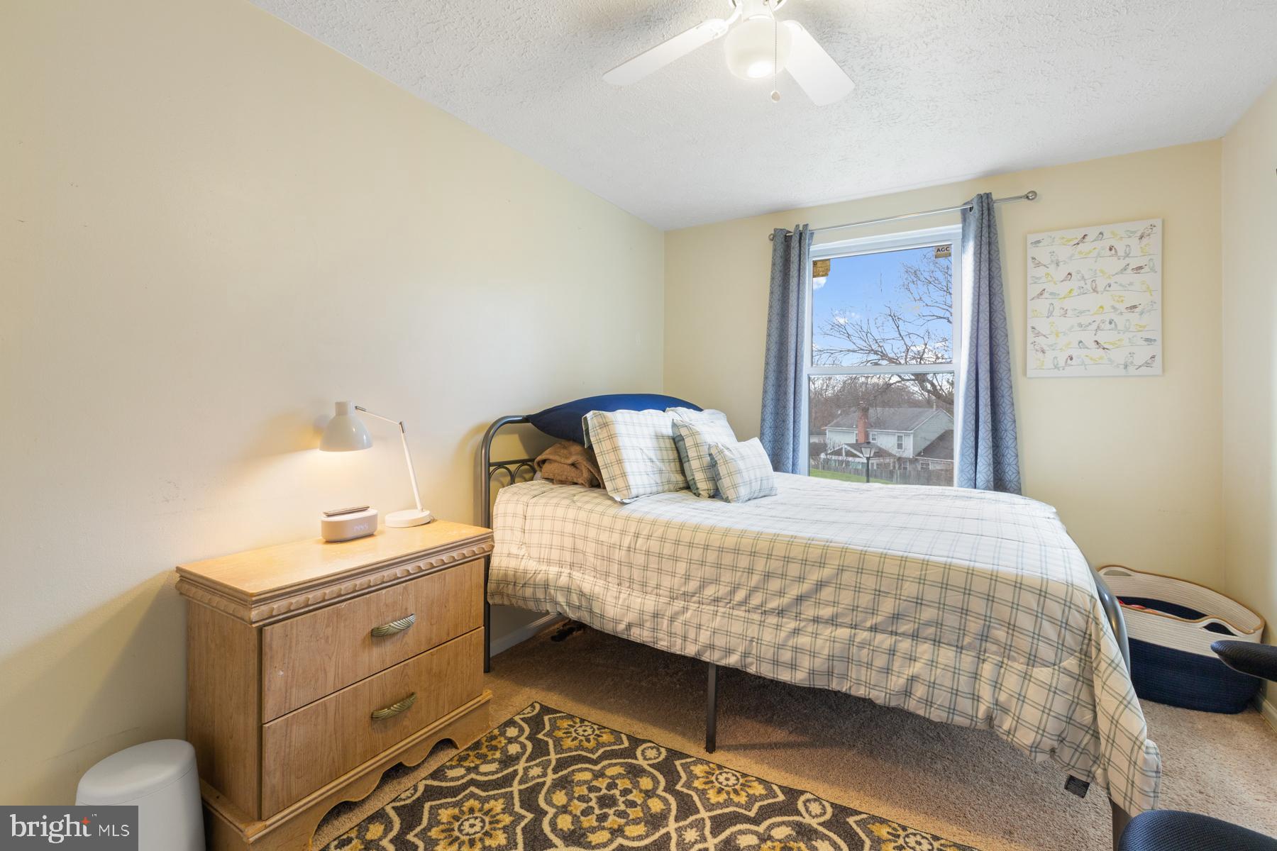 11214 Legato Way Silver Spring, MD 20901 - Photo 23 of 35 Main bedroom view 2