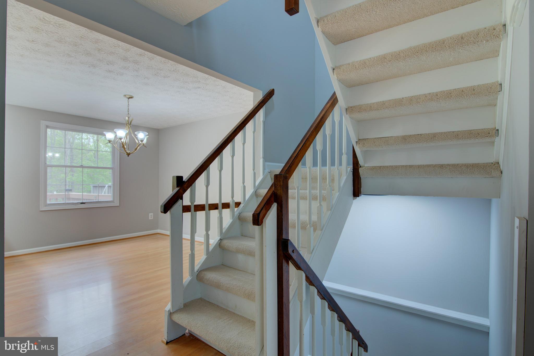 1552 Poplar Grove Drive Reston, VA 20194 - Photo 4 of 56