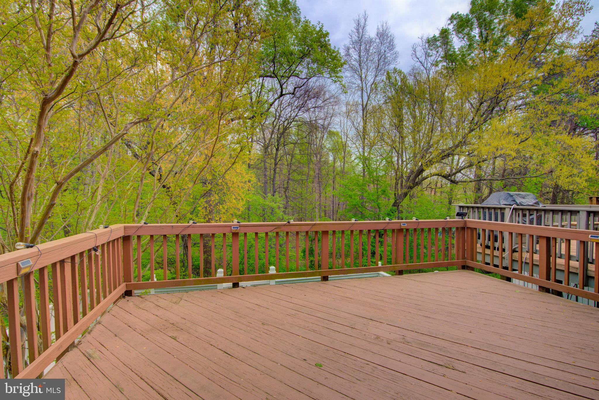 1552 Poplar Grove Drive Reston, VA 20194 - Photo 44 of 56